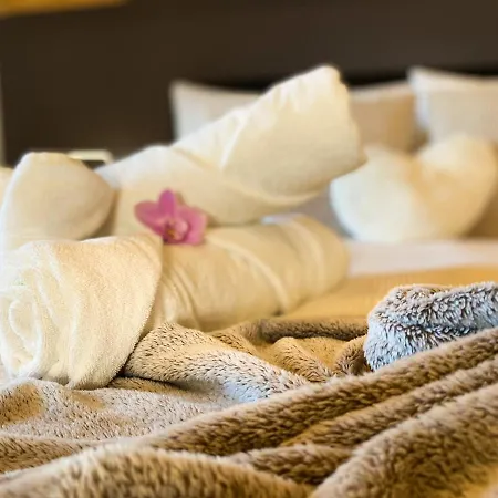 Swiss Alps View - Contactless Self Check-in *