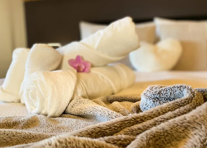 Swiss Alps View - Contactless Self Check-in *